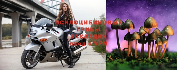 ПСИЛОЦИБИНОВЫЕ ГРИБЫ Приозерск