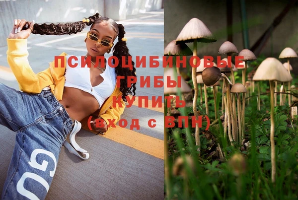 марки nbome Пролетарск