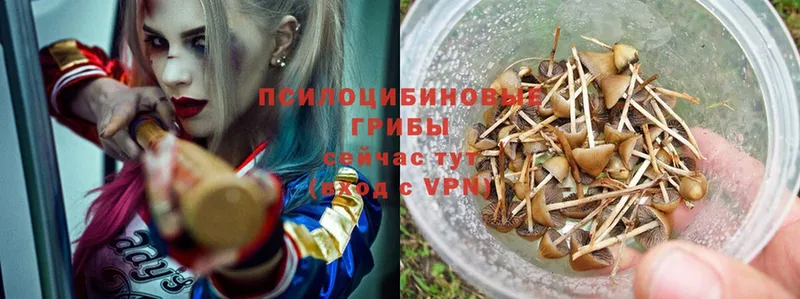 Галлюциногенные грибы Magic Shrooms  OMG ссылки  Кушва 