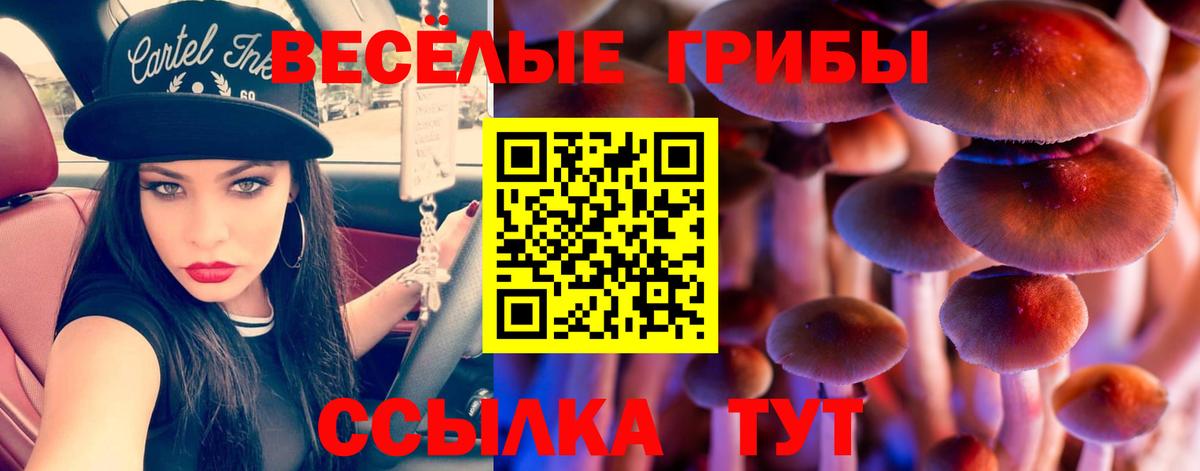 Псилоцибиновые грибы Cubensis Кушва